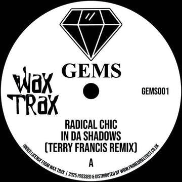 Radical Chic / Space Bunny - In Da Shadows (Terry Francis Remix) / The Key (Wax Trax Remix) Vinyl Vinly Record
