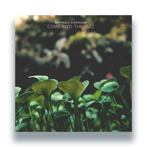 Raffaele Ciavolino - Come Into The Jazz Vinyl - Vinyl Record