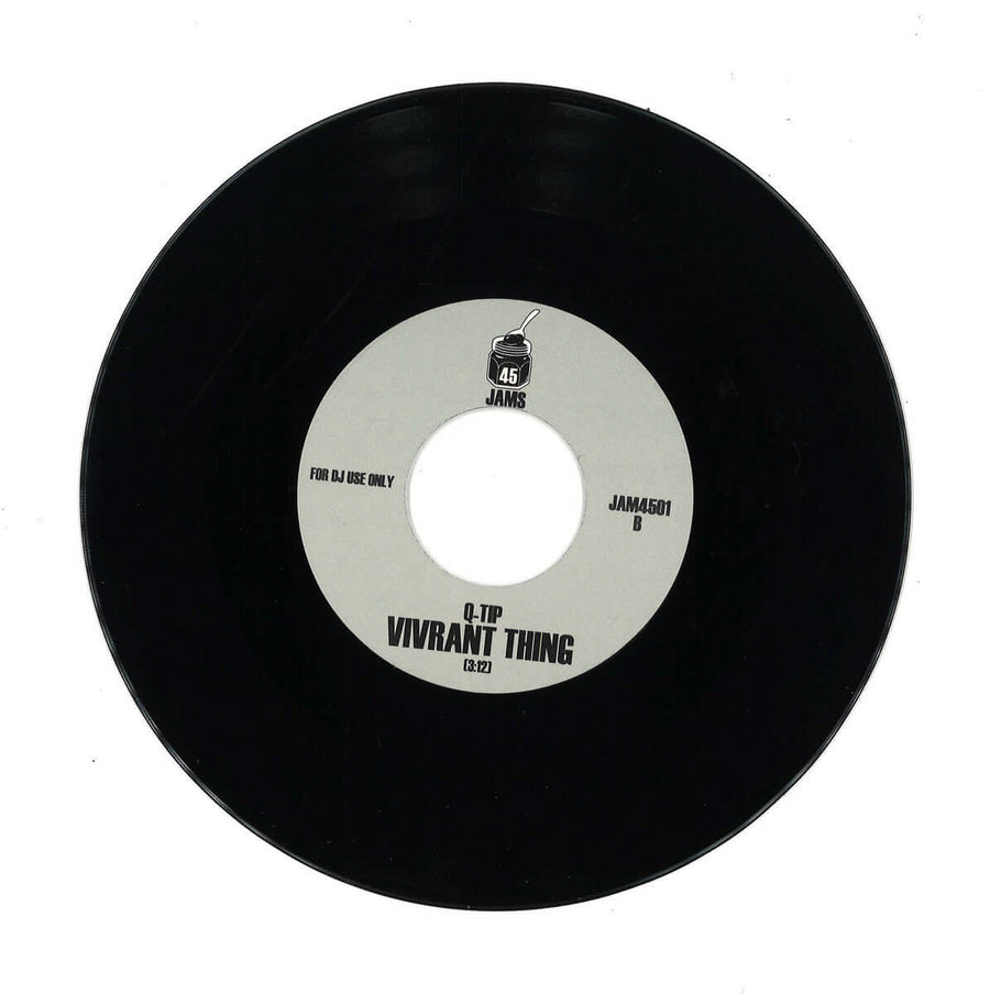 Raphael Saadiq &amp; Q-Tip - Get Involved / Vivrant Thing