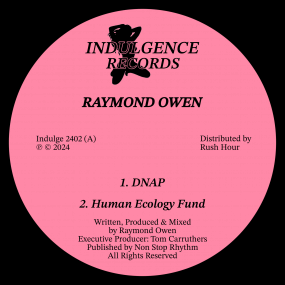 Raymond Owen - Detachment EP Vinyl Vinly Record