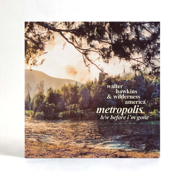 Walter Hawkins & Wilderness America - Metropolis - Artists Walter Hawkins & Wilderness America Style Balearic, AOR, Folk Release Date 24 May 2024 Cat No. DVK701 Format 7