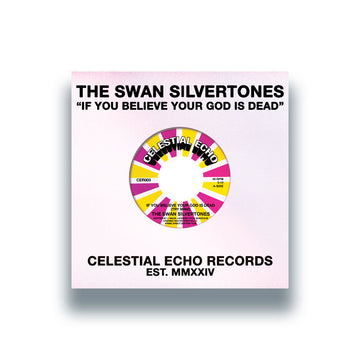 The Swan Silvertones - If You Believe Your God Is Dead (Try Mine) Vinly Record