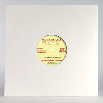Justin Robertson - Deadstock 33s - Artists Justin Robertson Style House, Leftfield Release Date 5 Apr 2024 Cat No. PAM004 Format 12