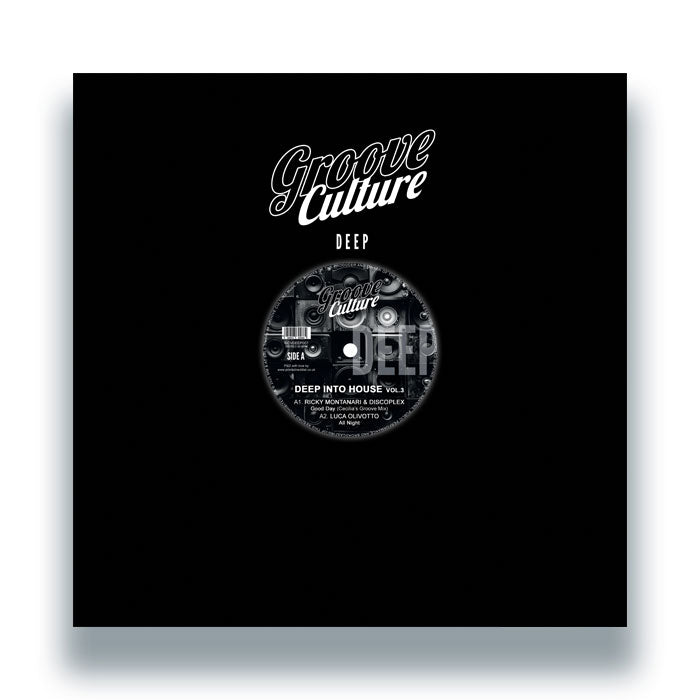 Ricky Montanari &amp; Discoplex / Luca Olivotto / Gianni Bini - Deep Into House Vol.3