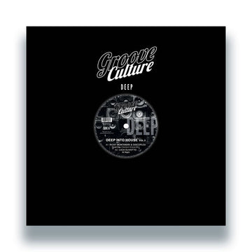 Ricky Montanari & Discoplex / Luca Olivotto / Gianni Bini - Deep Into House Vol.3 Vinyl Vinly Record