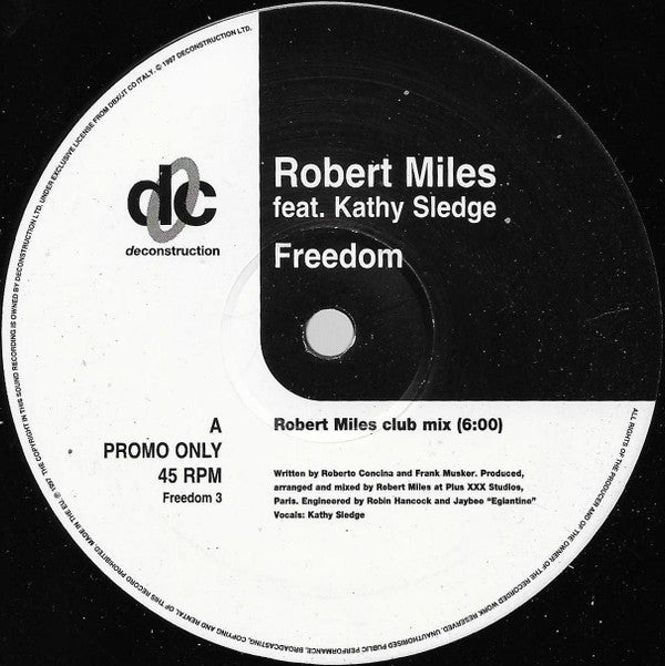 Robert Miles Feat. Kathy Sledge - Freedom Vinyl