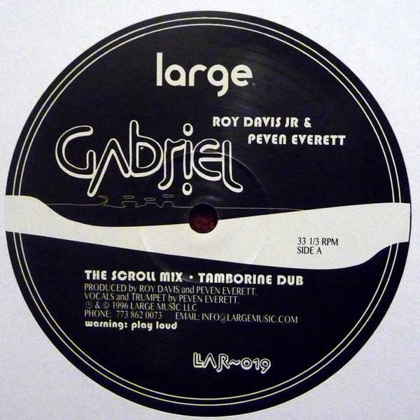 Roy Davis Jr - Gabriel Vinyl