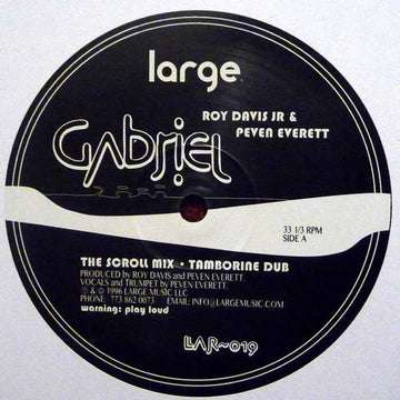 Roy Davis Jr - Gabriel Vinyl Vinly Record