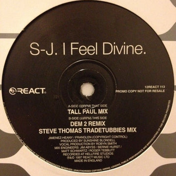 S - J - I Feel Divine Vinyl Vinly Record