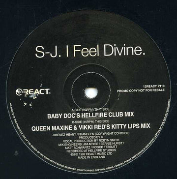 S - J. - I Feel Divine Vinyl Vinly Record