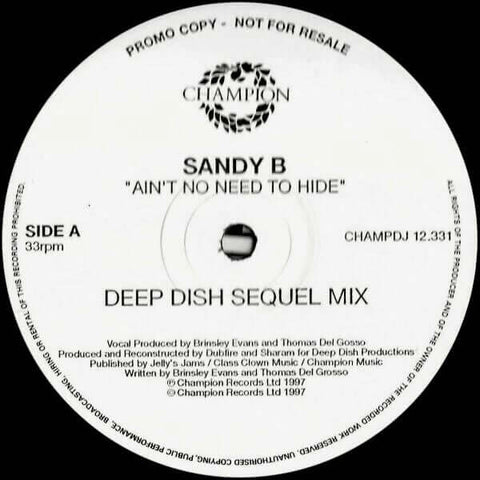 Sandy B - Ain't No Need To Hide Vinyl - Vinyl Record