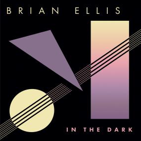BRIAN ELLIS - IN THE DARK 1 Vinly Record
