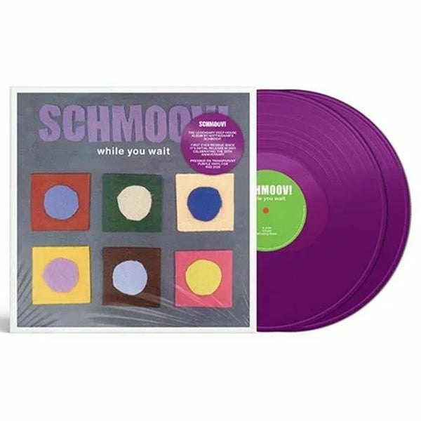 Schmoov! - While You Wait (25th Anniversary Edition) Vinyl