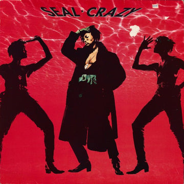 Seal - Crazy Vinyl Vinly Record