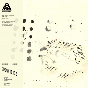 Sensible Soccers - Camminando di Notte Vinyl