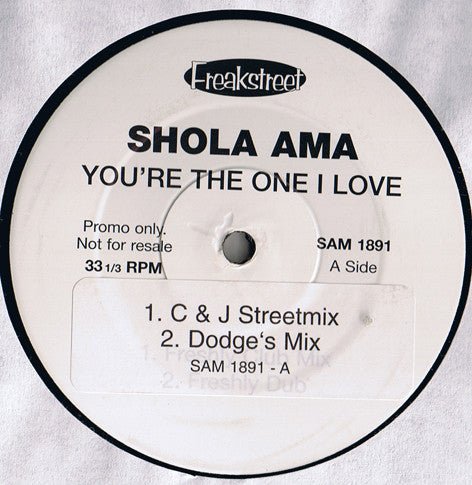 Shola Ama - You're The One I Love Vinyl