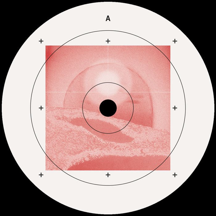 Simina Grigoriu - Divine Assignment Vinyl