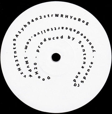 SnP 500 - SnP 500 Vinyl Vinly Record