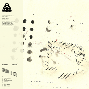Sensible Soccers - Camminando di Notte