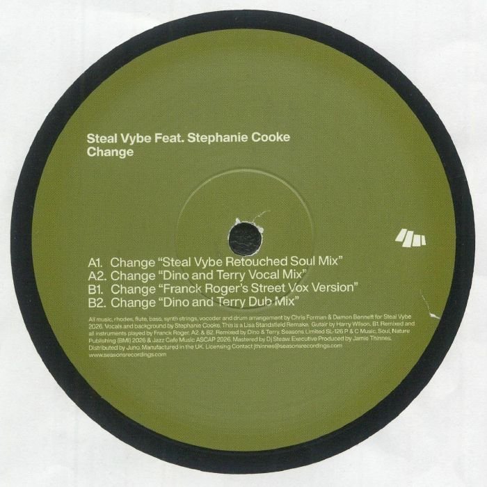 Steal Vybe Feat. Stephanie Cooke - Change Vinyl