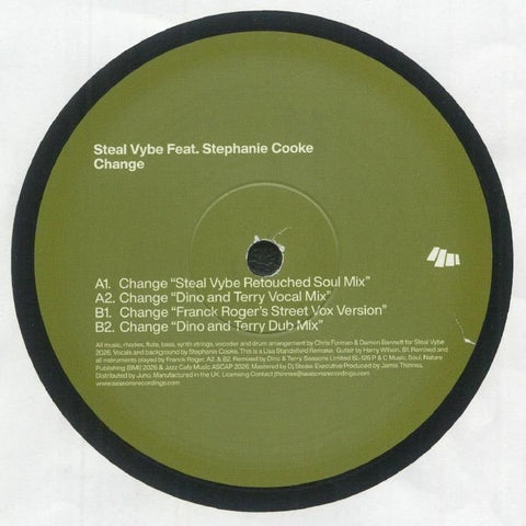 Steal Vybe Feat. Stephanie Cooke - Change Vinyl - Vinyl Record