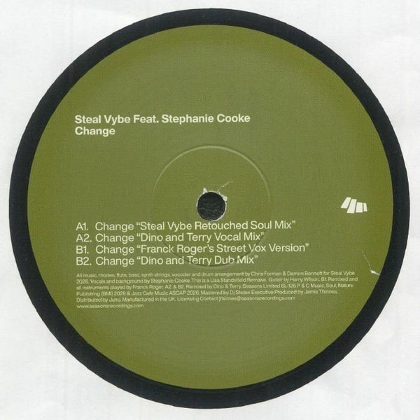 Steal Vybe Feat. Stephanie Cooke - Change Vinyl