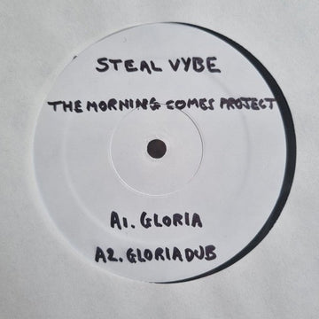 Steal Vybe - The Morning Comes EP Vinyl Vinly Record