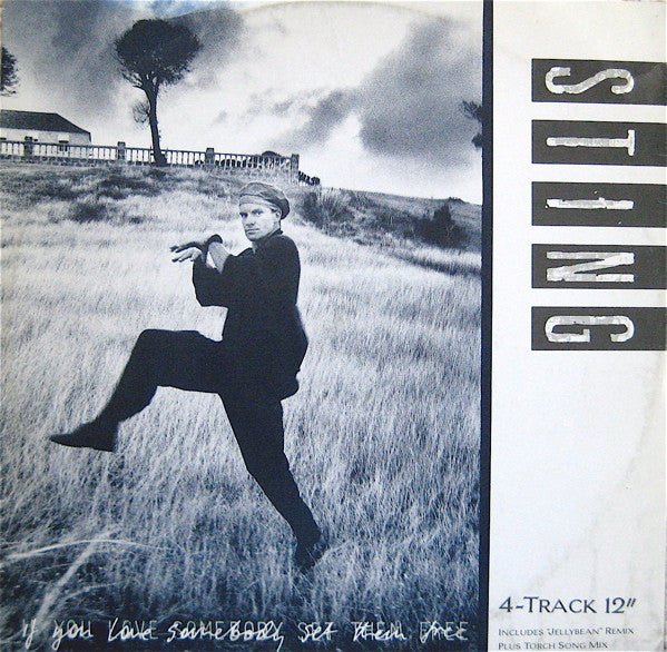 Sting - If You Love Somebody Set Them Free Vinyl