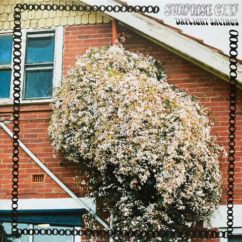Surprise Chef - Daylight Savings Vinyl - Vinyl Record