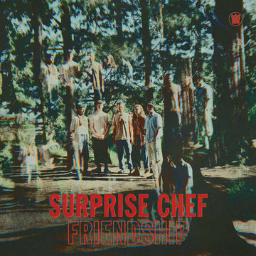 Surprise Chef - Friendship Vinyl Vinly Record