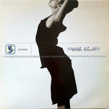 Susumu Yokota - Sound Of Sky Vinyl Vinly Record