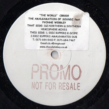The Amalgamation Of Soundz Featuring Yvonne Webbley - The World Vinyl Vinly Record