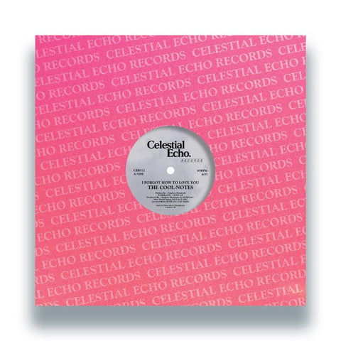 The Cool - Notes - I Forgot How To Love You Vinyl - Vinyl Record