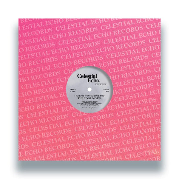 The Cool - Notes - I Forgot How To Love You Vinyl