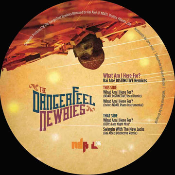 The Dangerfeel Newbies - What Am I Here For? Vinyl Vinly Record