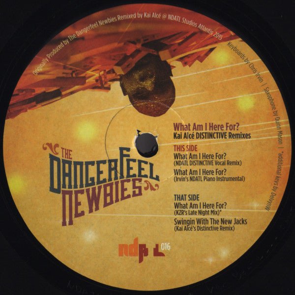 The Dangerfeel Newbies - What Am I Here For? (Kai Alcé DISTINCTIVE Remixes) Vinyl