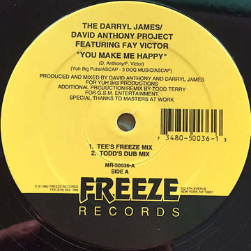 The Darryl James/David Anthony Project Featuring Fay Victor - You Make Me Happy Vinyl Vinly Record