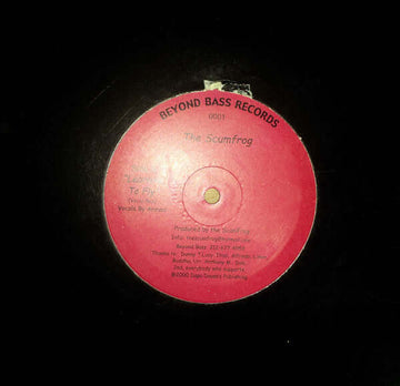 The Scumfrog - Learning To Fly Vinyl Vinly Record