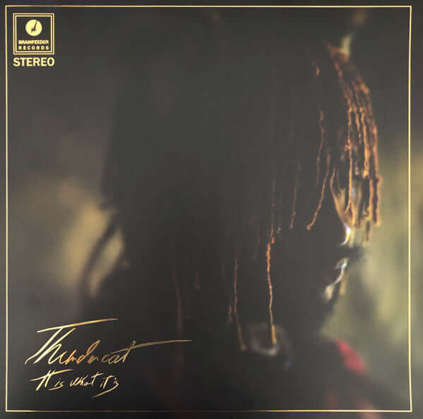 Thundercat - It Is What It Is Vinyl