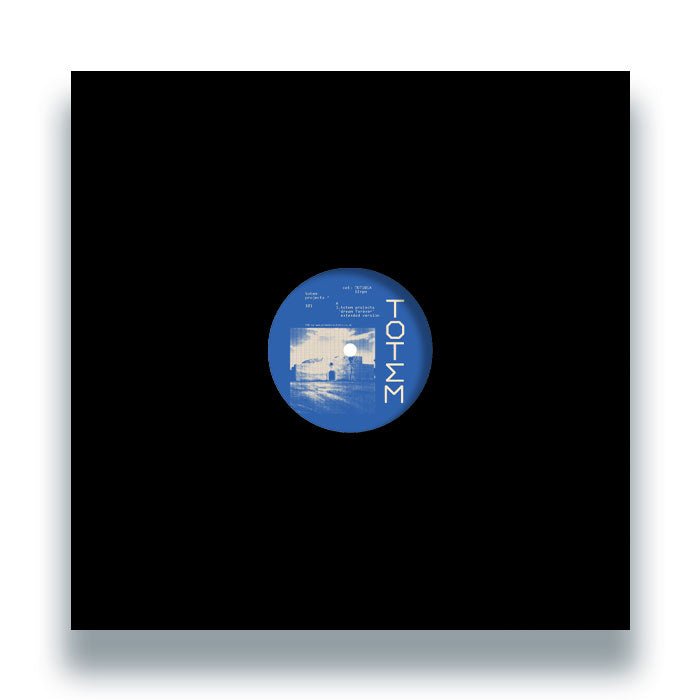 Totem Projects - Dream Forever EP Vinyl
