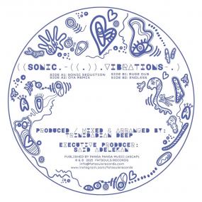 Trinidadian Deep - Sonic Vibrations Vinyl Vinly Record