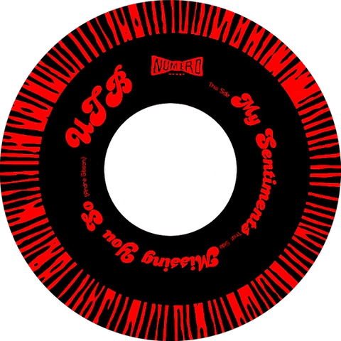 Universal Togetherness Band - My Sentiments Vinyl - Vinyl Record