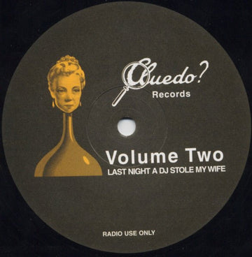 Unknown Artist - Volume Two - Last Night A DJ Stole My Wife Vinyl Vinly Record