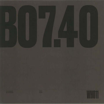 Unknown Artist - WH011 Vinyl Vinly Record