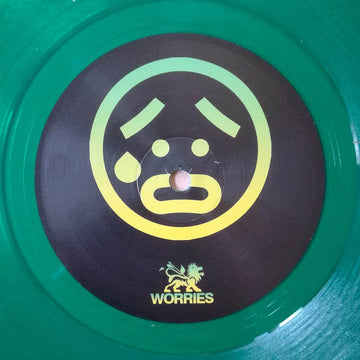 Unknown - The Worries Vinyl Vinly Record