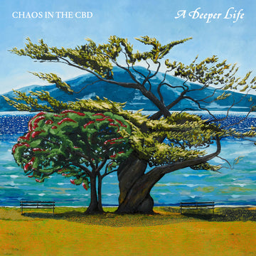 Chaos In The CBD - A Deeper Life Vinly Record