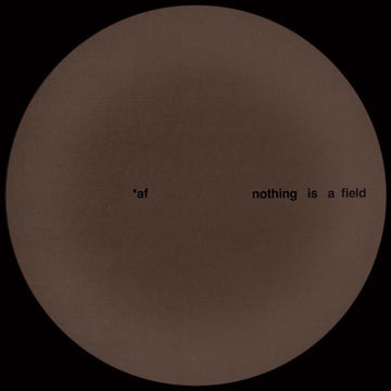 Adam Feingold - Nothing Is A Field (Ltd. 200 Copies) Vinly Record