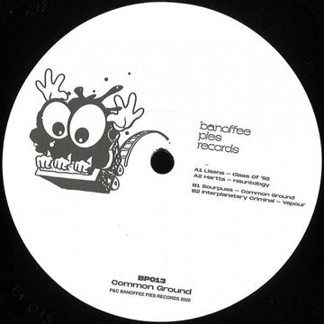Various - Common Ground Vinyl Vinly Record