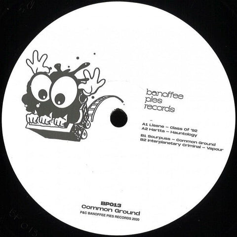 Various - Common Ground Vinyl - Vinyl Record