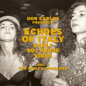 Various - Don Carlos Presents Echoes Of Italy Vol. 2 Vinyl Vinly Record